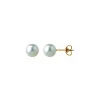 Boucles d'oreilles Brillaxis perles de culture or_x005f_x000D_6/6,5 mm