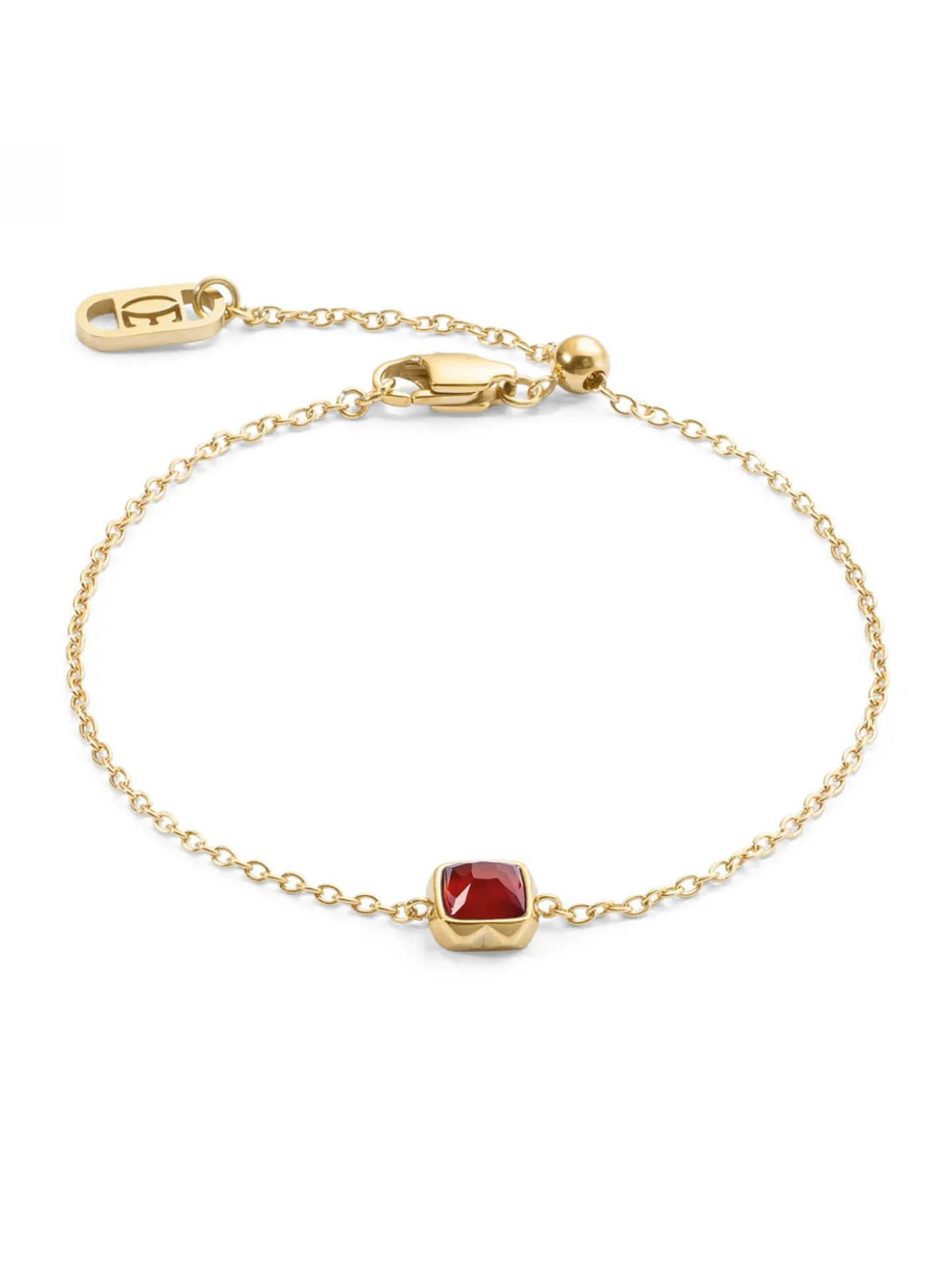 Bracelet Coeur De Lion Birthstone Janvier_x005f_x000D_agate rouge