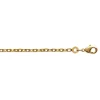 Chaîne Brillaxis maille forçat plaqué or 750/1000_x005f_x000D_55cm