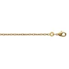 Chaîne de cheville Brillaxis maille forçat plaqué or_x005f_x000D_25cm