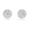 Clous d'oreilles Swarovski Dextera