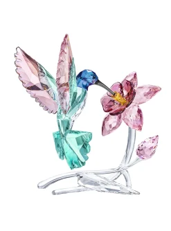Figurine Swarovski Colibri